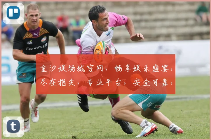 金沙娱场城官网，畅享娱乐盛宴，尽在指尖，专业平台，安全可靠，精彩不断，不容错过