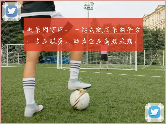 央采网官网，一站式政府采购平台，专业服务，助力企业高效采购，优质资源，尽在掌握