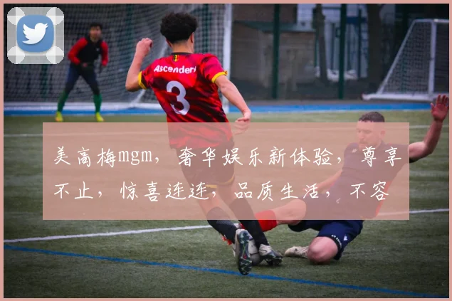 美高梅mgm，奢华娱乐新体验，尊享不止，惊喜连连，品质生活，不容错过