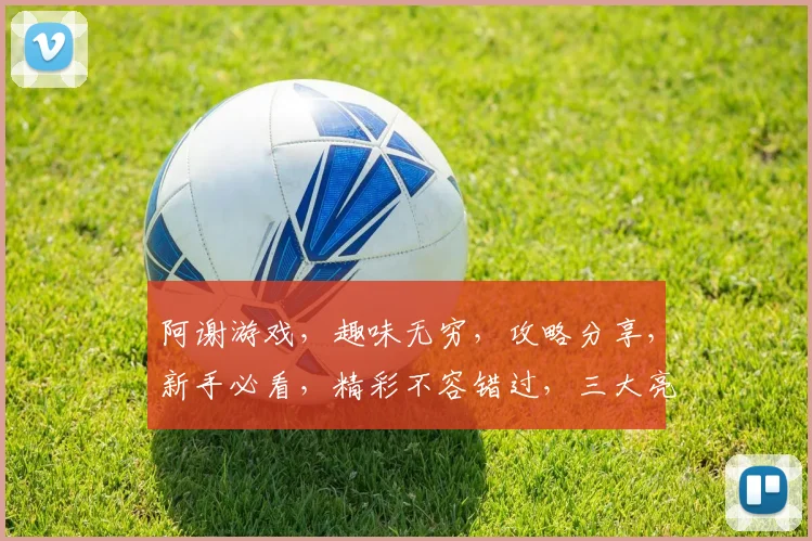 阿谢游戏，趣味无穷，攻略分享，新手必看，精彩不容错过，三大亮点等你探索