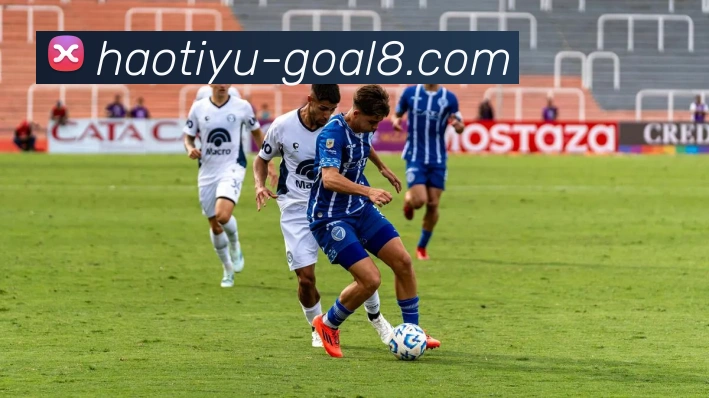 对战数据统计